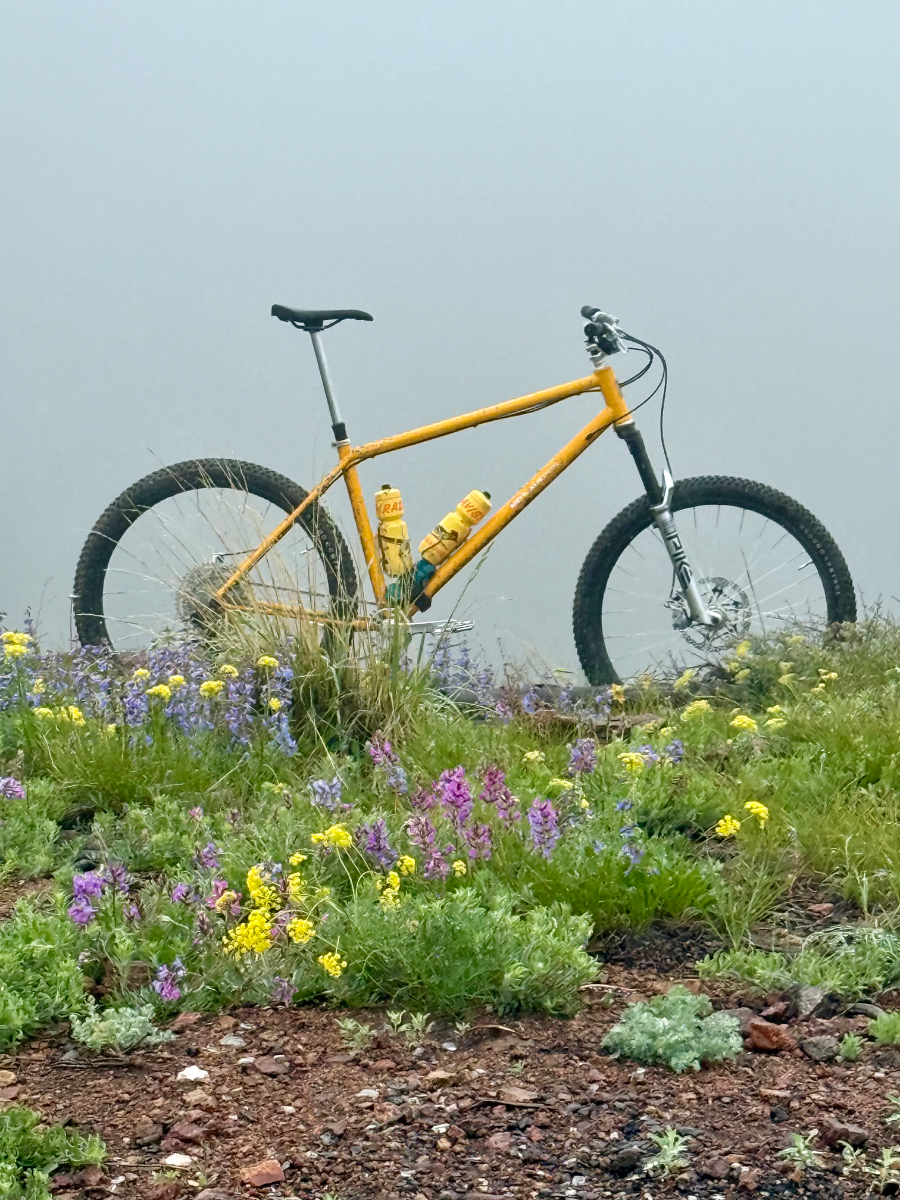 3XL Neuhaus Metalworks Hummingbird