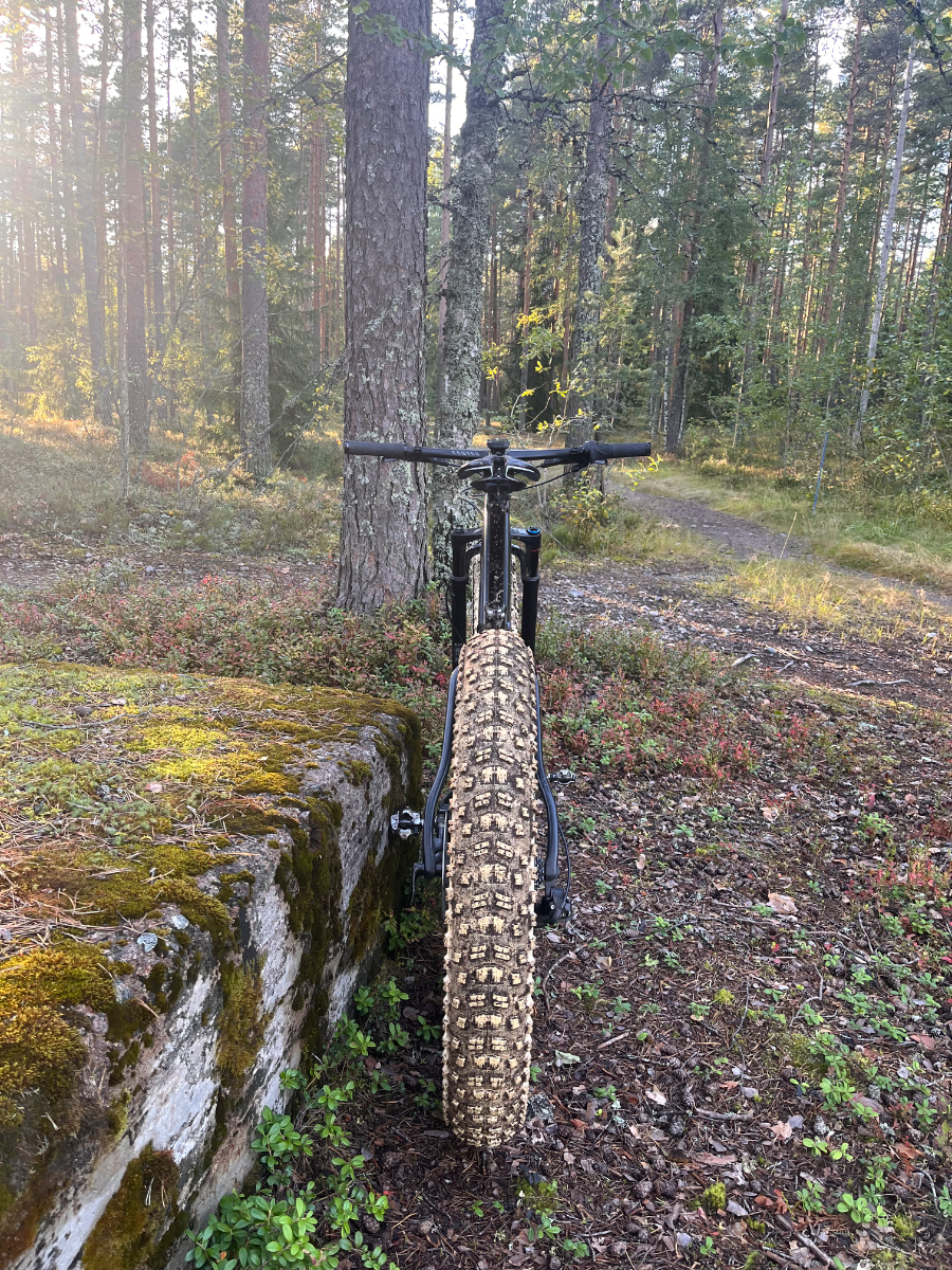 Salsa beargrease carbon