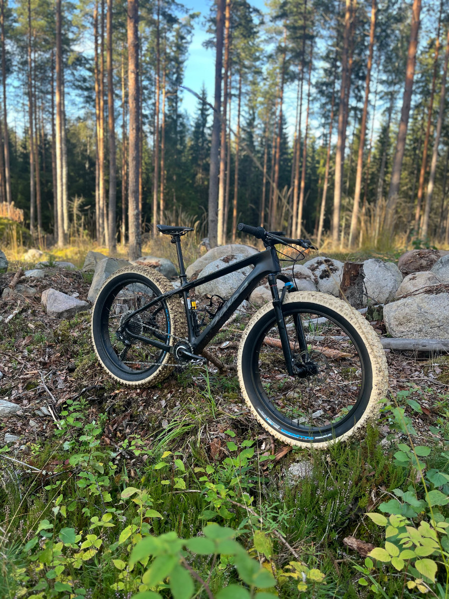 Salsa beargrease carbon