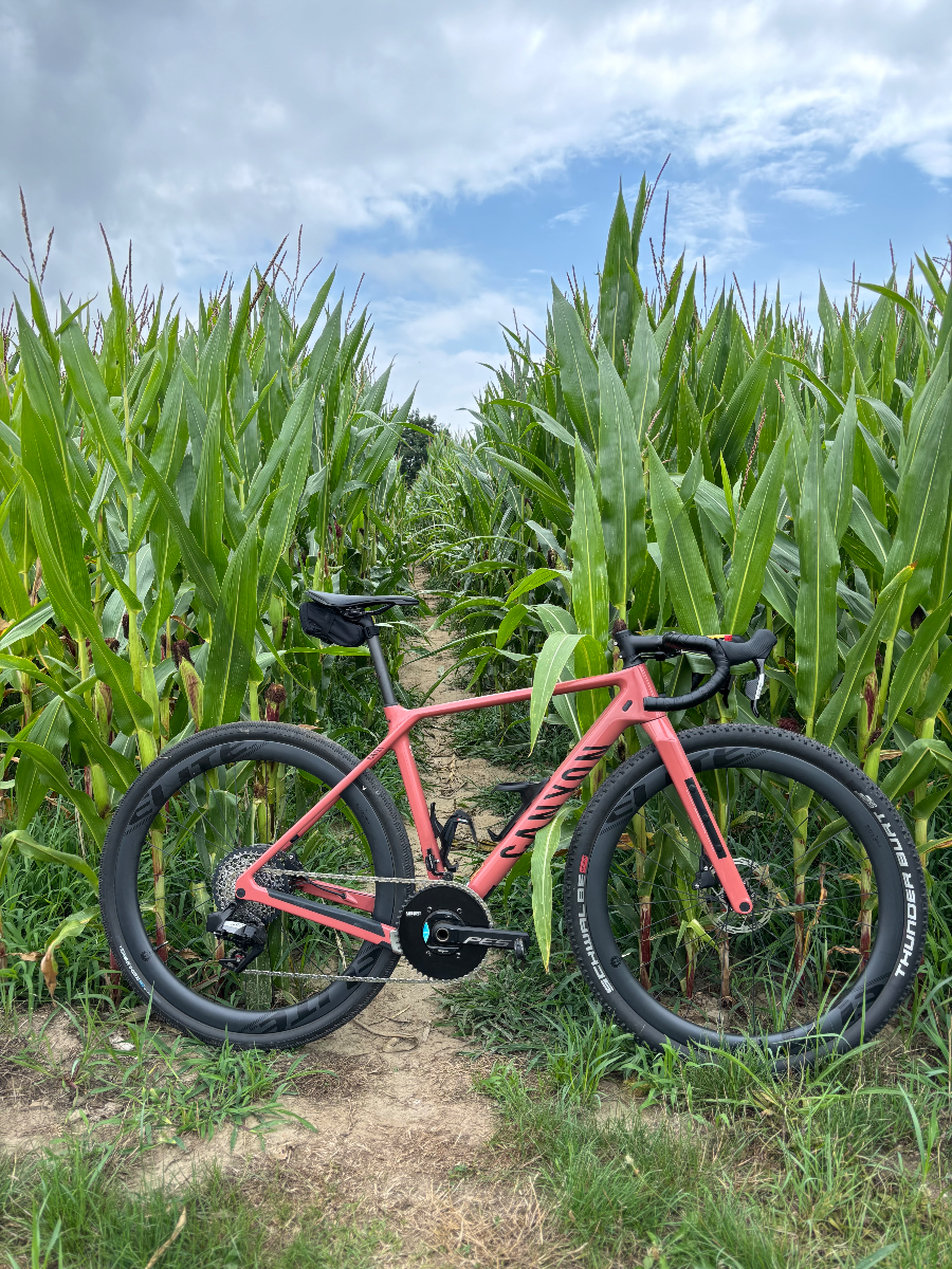 Budget build to Racemachine