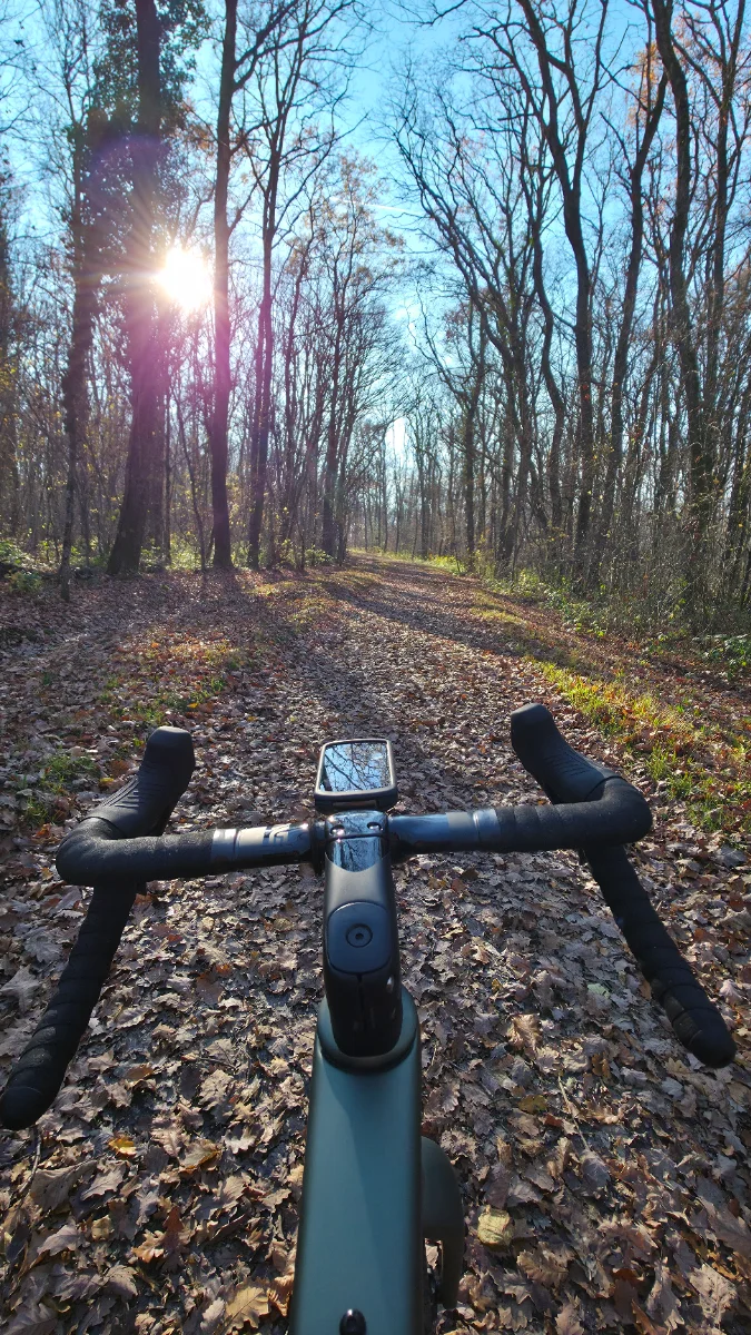 MOG by Velosophe Bike & Beer Shop