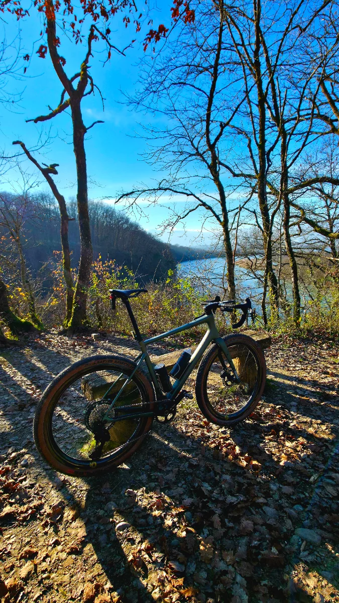 MOG by Velosophe Bike & Beer Shop