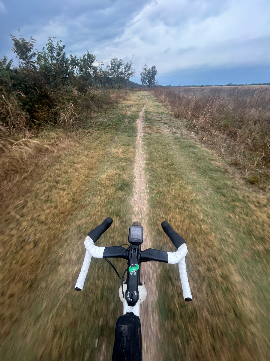 Lauf monster race bike